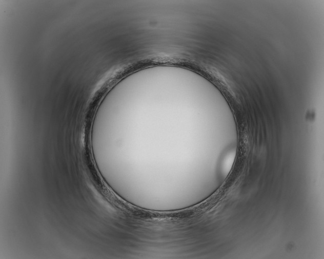 X0000091550686200708171041