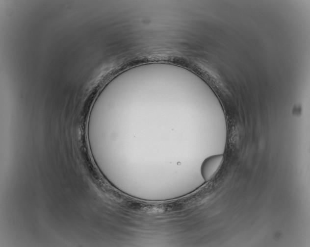 X0000091550687200708171041