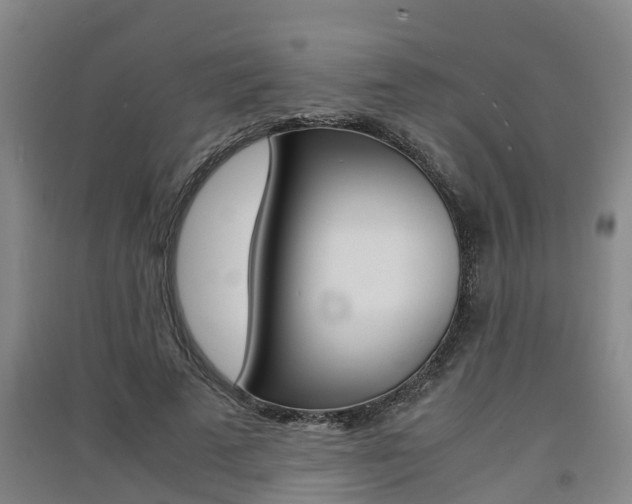 X0000091550689200708171041