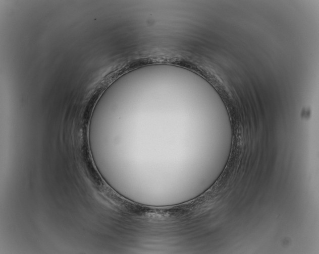 X0000091550690200708171041