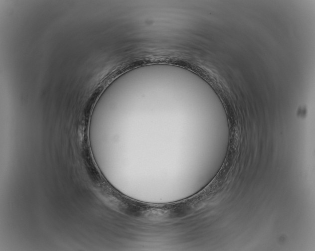 X0000091550691200708171041