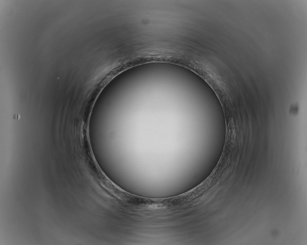 X0000091550692200708171041