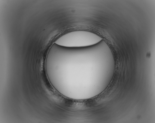 X0000091550694200708171041