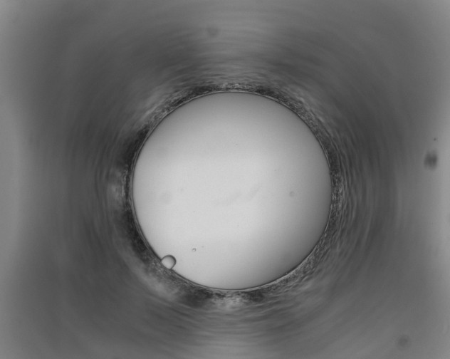 X0000091550695200708171041