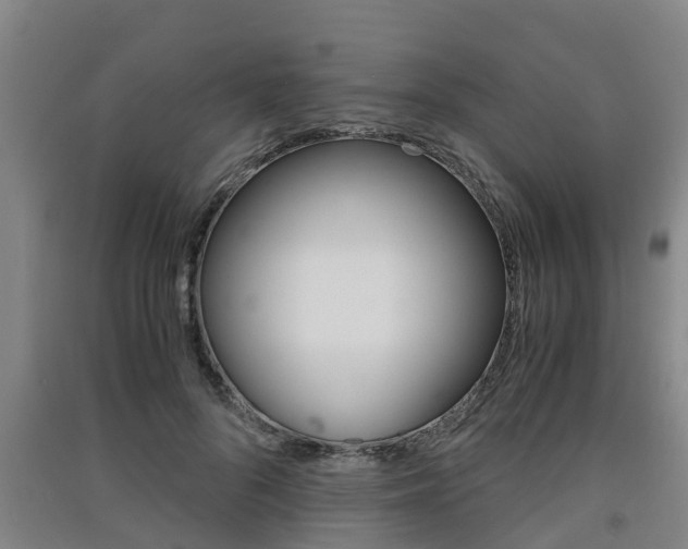 X0000091550696200708171041