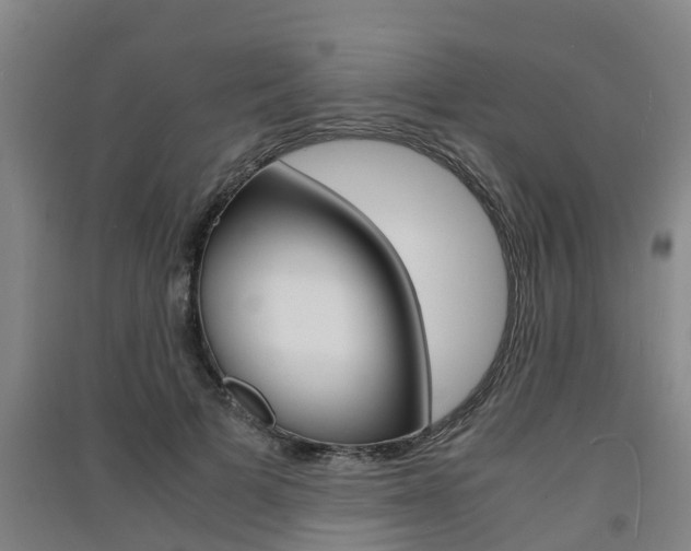 X0000091550697200708171041