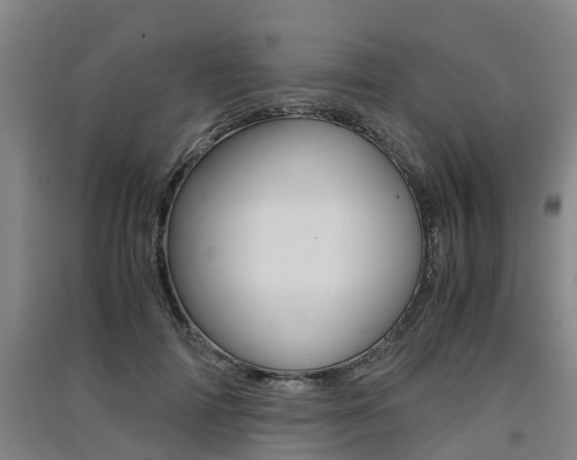 X0000091550698200708171041