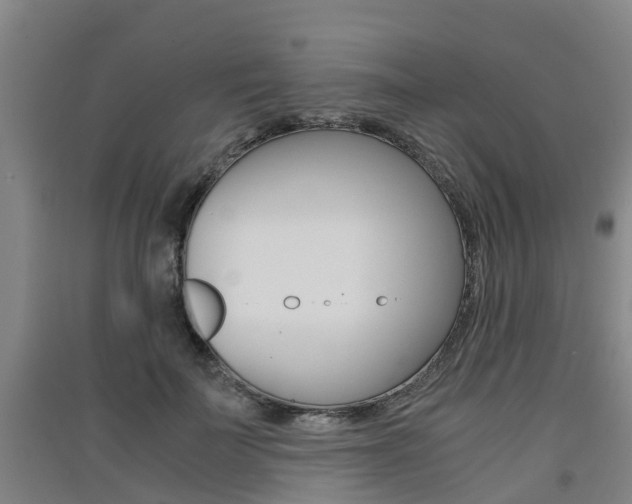 X0000091550699200708171041