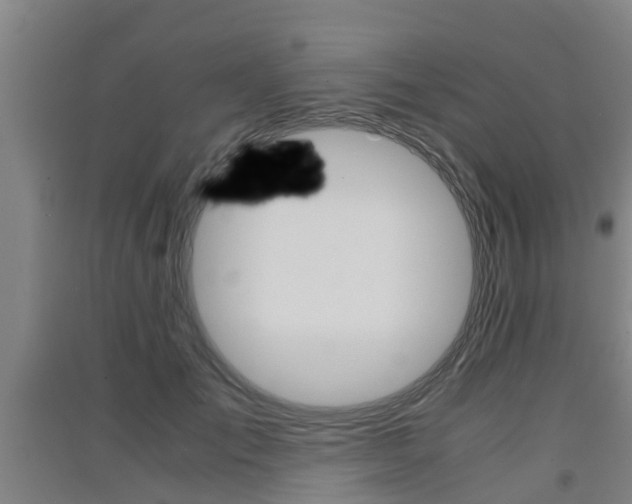 X0000091550701200708171041