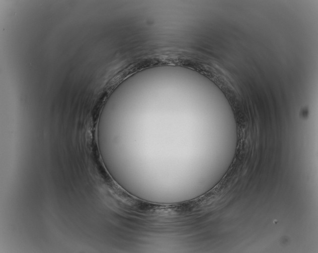 X0000091550702200708171041