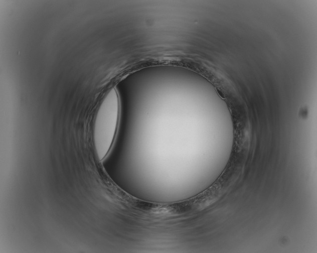 X0000091550704200708171041