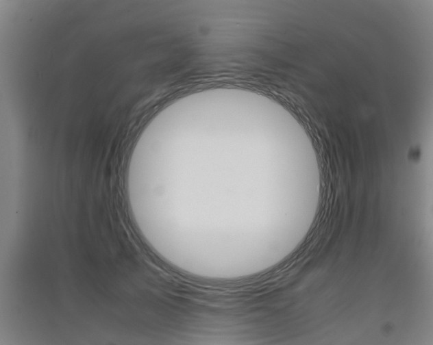 X0000091550705200708171041