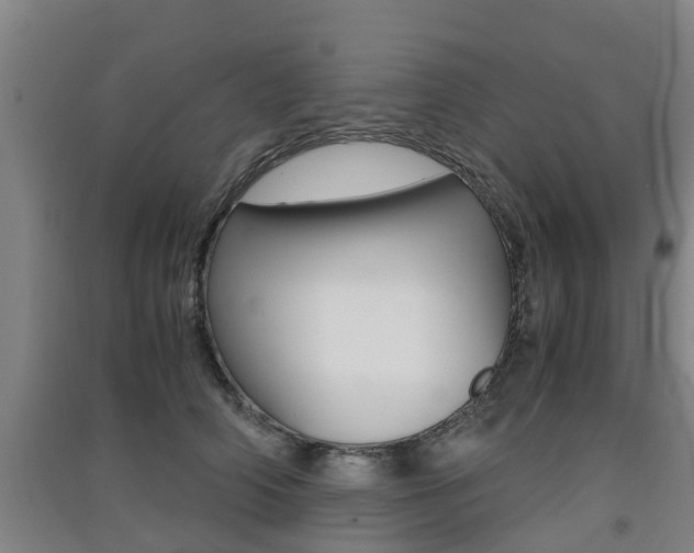 X0000091550706200708171041