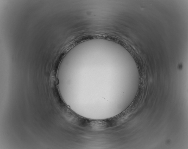 X0000091550707200708171041
