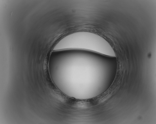 X0000091550708200708171041