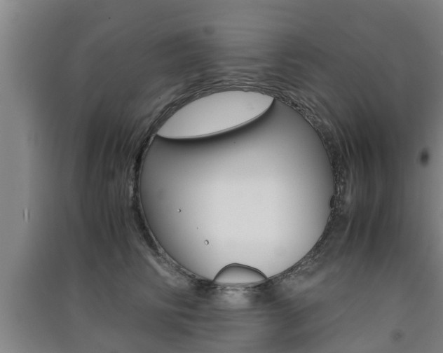X0000091550710200708171041