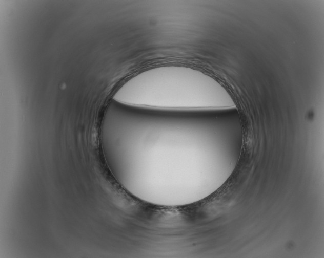 X0000091550715200708171041