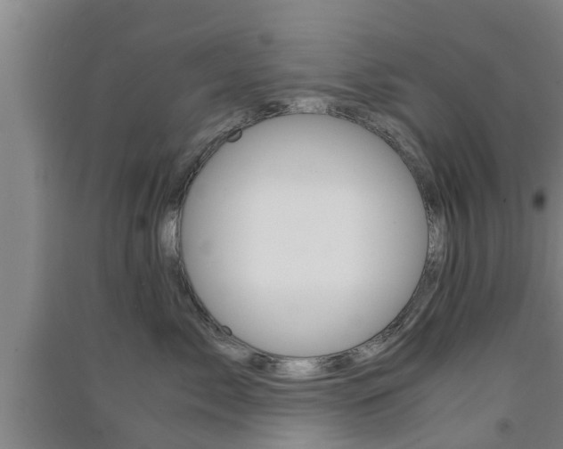 X0000091550717200708171041