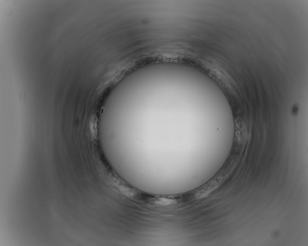 X0000091550718200708171041