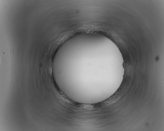 X0000091550719200708171041