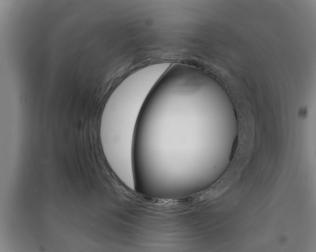 X0000091550720200708171041