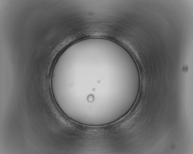 X0000091550721200708171040