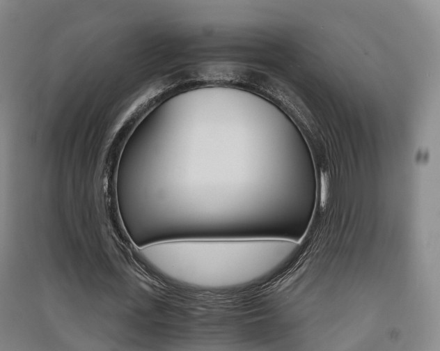 X0000091550723200708171040