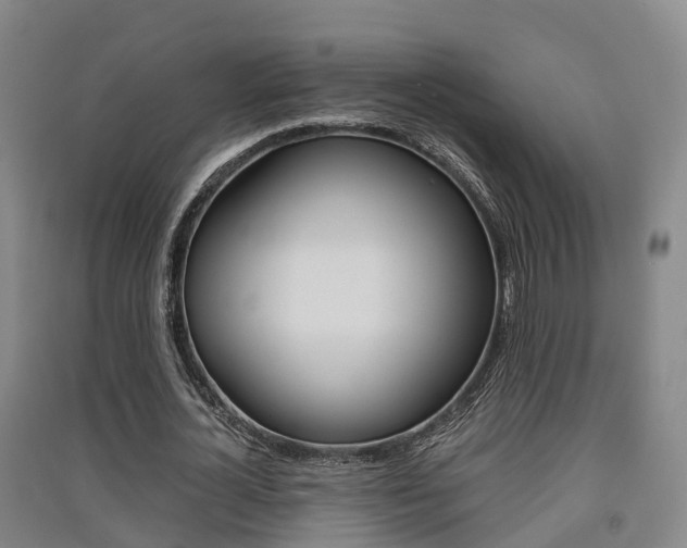 X0000091550724200708171040