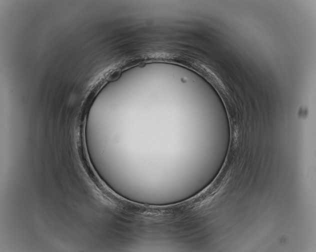 X0000091550725200708171040