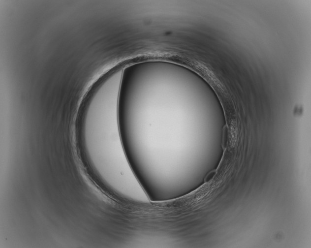 X0000091550726200708171040