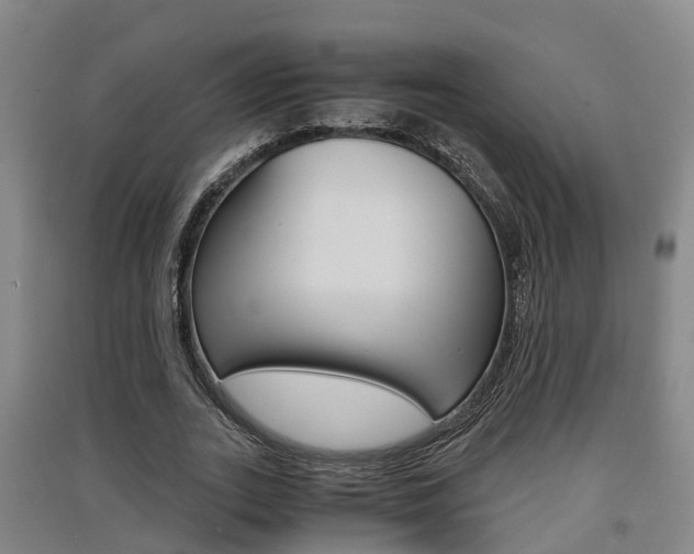 X0000091550727200708171040