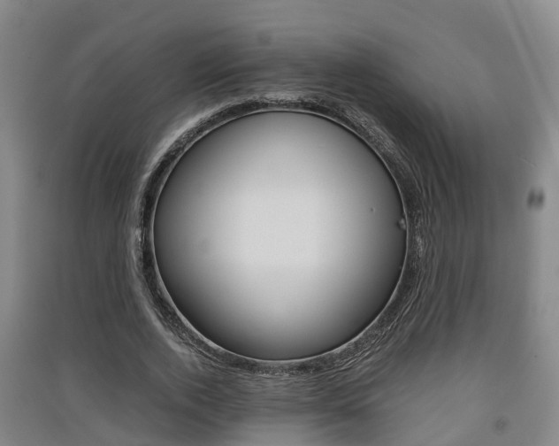 X0000091550728200708171040