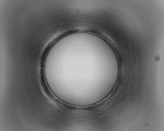 X0000091550730200708171040