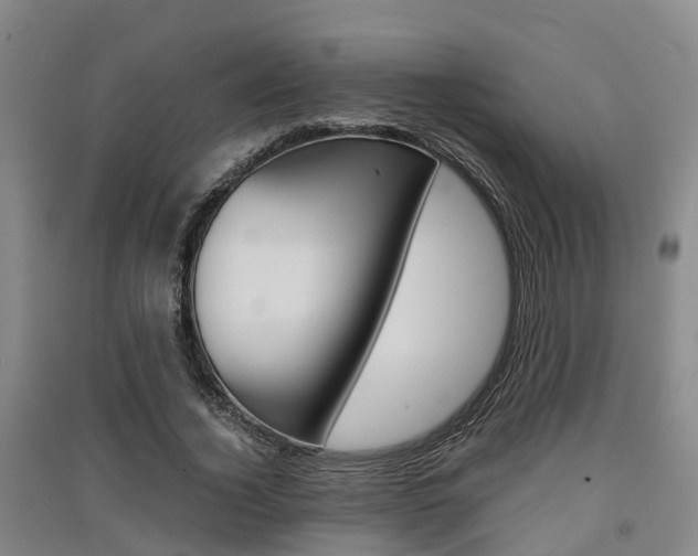 X0000091550732200708171040