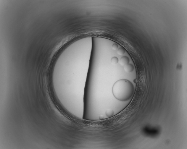 X0000091550734200708171040