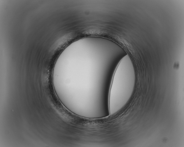 X0000091550735200708171040
