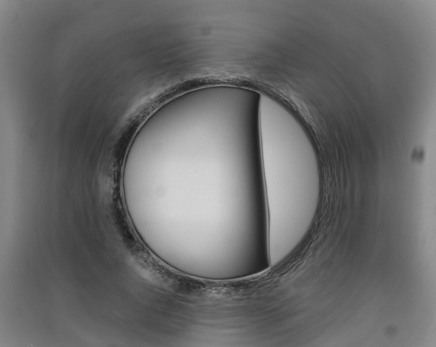 X0000091550736200708171040