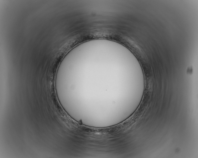 X0000091550737200708171040