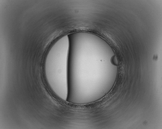 X0000091550738200708171040