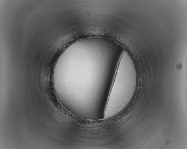 X0000091550739200708171040