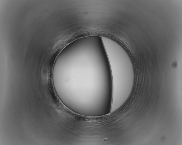 X0000091550740200708171040