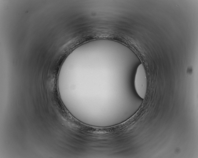 X0000091550741200708171040