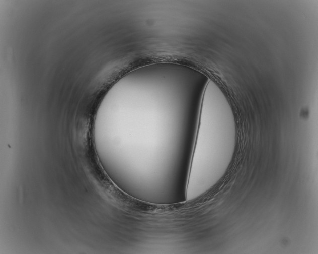 X0000091550742200708171040