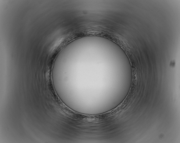 X0000091550745200708171040