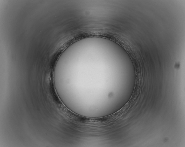 X0000091550746200708171040