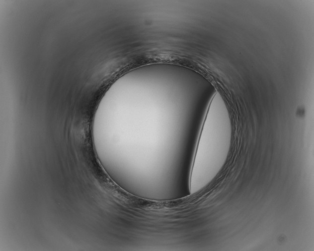 X0000091550747200708171040