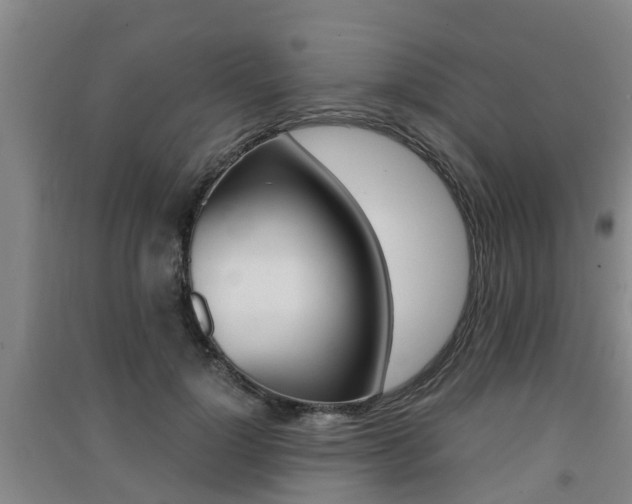 X0000091550748200708171040