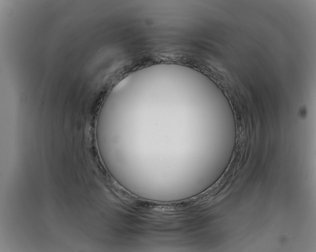 X0000091550749200708171040