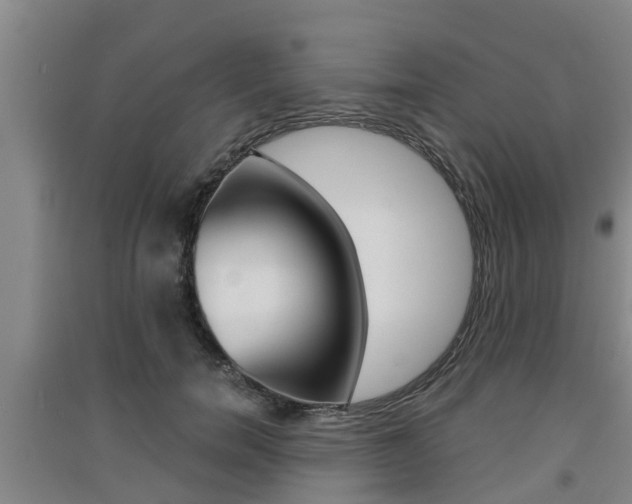 X0000091550750200708171040