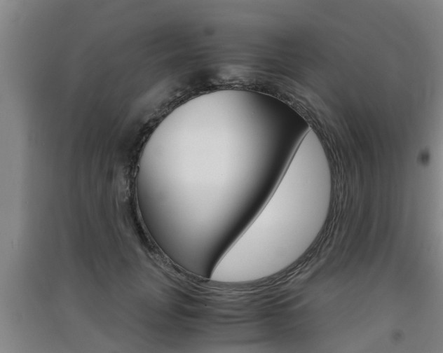 X0000091550751200708171040